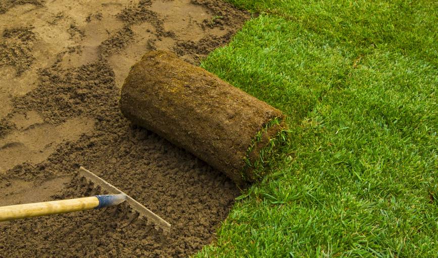 Sod Installation